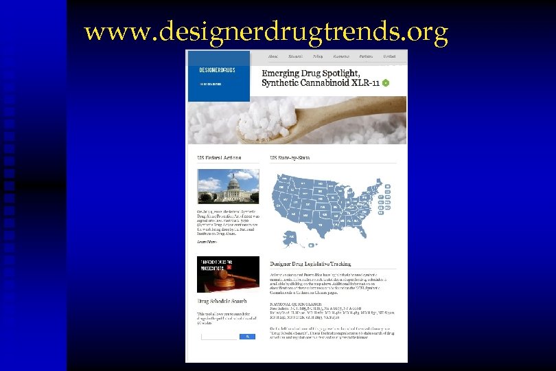 www. designerdrugtrends. org 