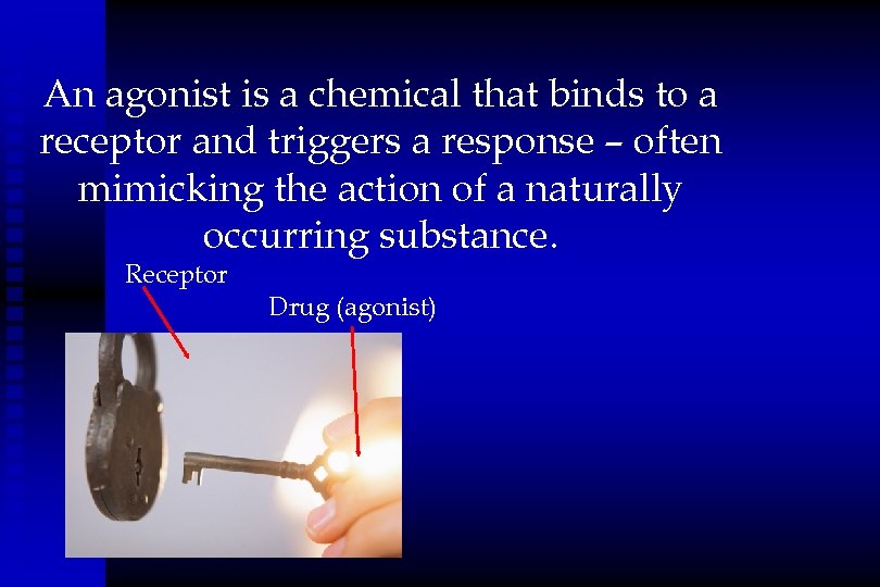 An agonist is a chemical that binds to a receptor and triggers a response