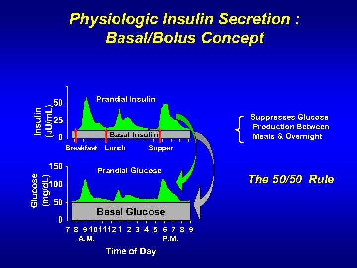Physiologic Insulin Secretion : Basal/Bolus Concept Insulin (µU/m. L) 50 Prandial Insulin 25 0
