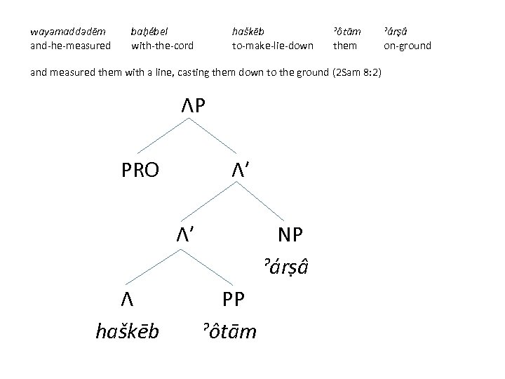 wayǝmaddǝdēm baḥébel haškēb ˀôtām ˀárṣâ and-he-measured with-the-cord to-make-lie-down them on-ground and measured them with