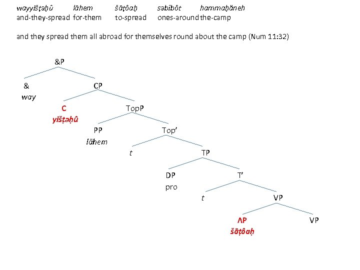 wayyišṭǝḥû lāhem šāṭôaḥ sǝbîbôt hammaḥăneh and-they-spread for-them to-spread ones-around the-camp and they spread them