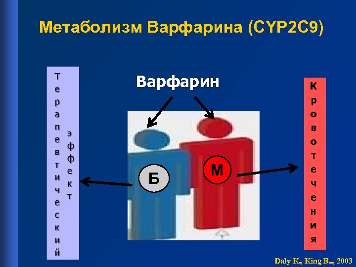 Метаболизм Варфарина (CYP 2 C 9) Варфарин Б М К р о в о