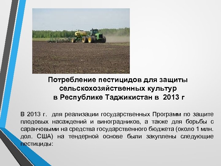 Потребление пестицидов для защиты сельскохозяйственных культур в Республике Таджикистан в 2013 г В 2013