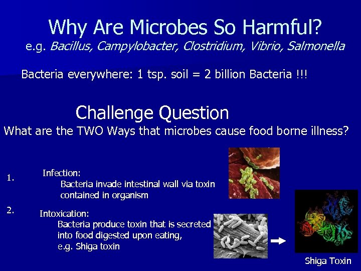Why Are Microbes So Harmful? e. g. Bacillus, Campylobacter, Clostridium, Vibrio, Salmonella Bacteria everywhere: