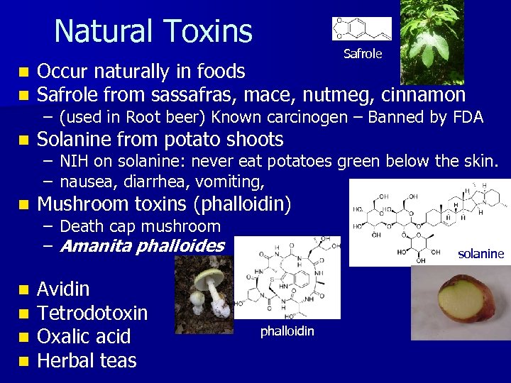 Natural Toxins Safrole n n Occur naturally in foods Safrole from sassafras, mace, nutmeg,