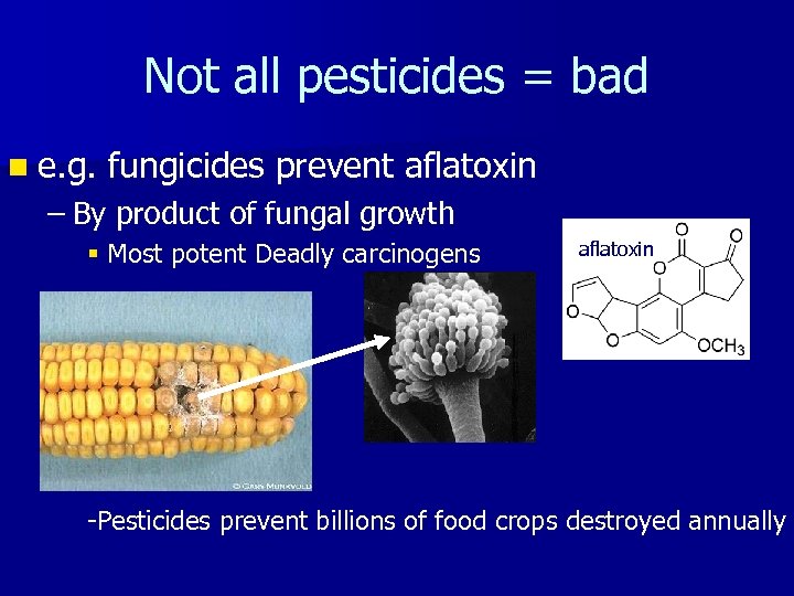 Not all pesticides = bad n e. g. fungicides prevent aflatoxin – By product