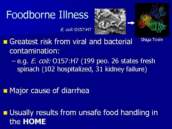Foodborne Illness E. coli: O 157: H 7 n Greatest risk from viral and