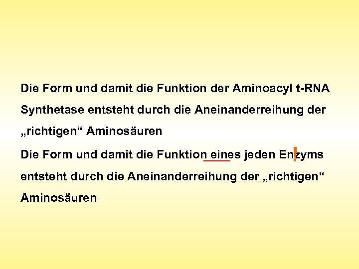 Die Form und damit die Funktion der Aminoacyl t-RNA Synthetase entsteht durch die Aneinanderreihung
