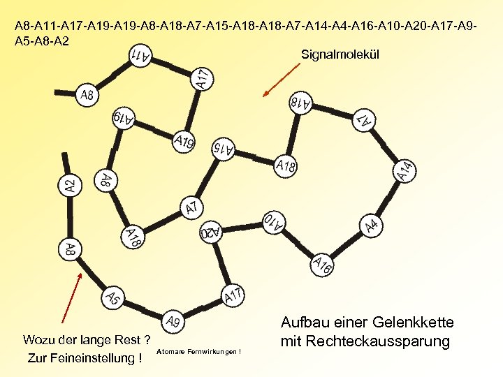 A 8 -A 11 -A 17 -A 19 -A 8 -A 18 -A 7