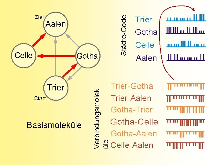 Aalen Celle Trier Start Basismoleküle Verbindungsmolek üle Gotha Städte-Code Ziel 