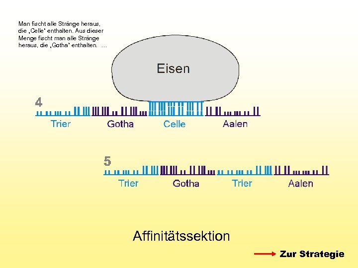 Man fischt alle Stränge heraus, die „Celle“ enthalten. Aus dieser Menge fischt man alle