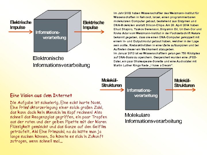 Elektronische Informationsverarbeitung Im Jahr 2002 haben Wissenschaftler des Weizmann-Institut für Wissenschaften in Rehovot, Israel,