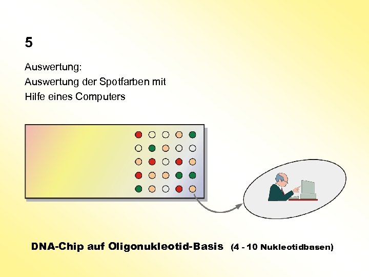 5 Auswertung: Auswertung der Spotfarben mit Hilfe eines Computers DNA-Chip auf Oligonukleotid-Basis (4 -