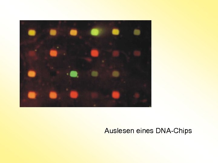 Auslesen eines DNA-Chips 