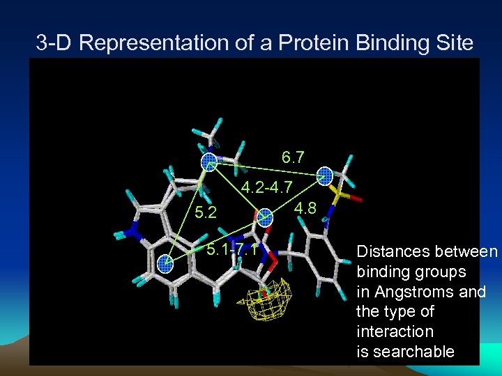 3 -D Representation of a Protein Binding Site 6. 7 4. 2 -4. 7