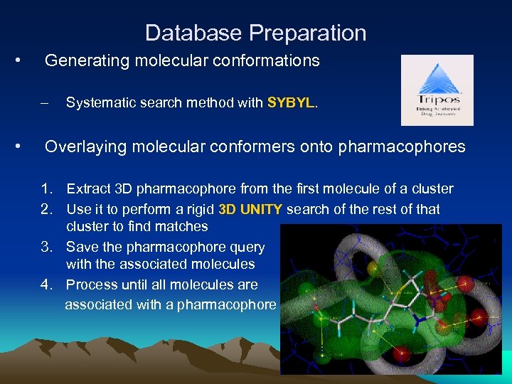 Database Preparation • Generating molecular conformations – • Systematic search method with SYBYL. Overlaying
