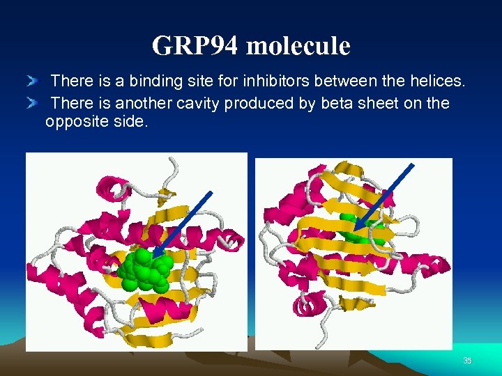 GRP 94 molecule There is a binding site for inhibitors between the helices. There
