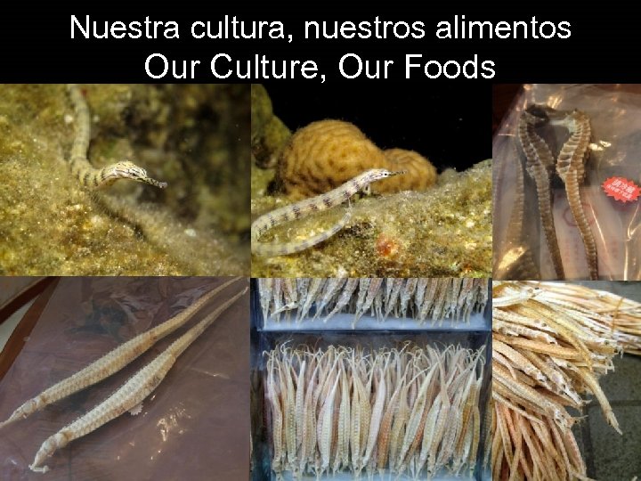 Nuestra cultura, nuestros alimentos Our Culture, Our Foods 