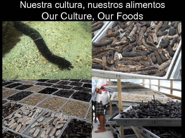 Nuestra cultura, nuestros alimentos Our Culture, Our Foods 