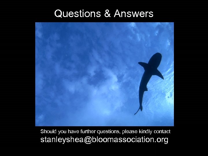Questions & Answers Should you have further questions, please kindly contact stanleyshea@bloomassociation. org 