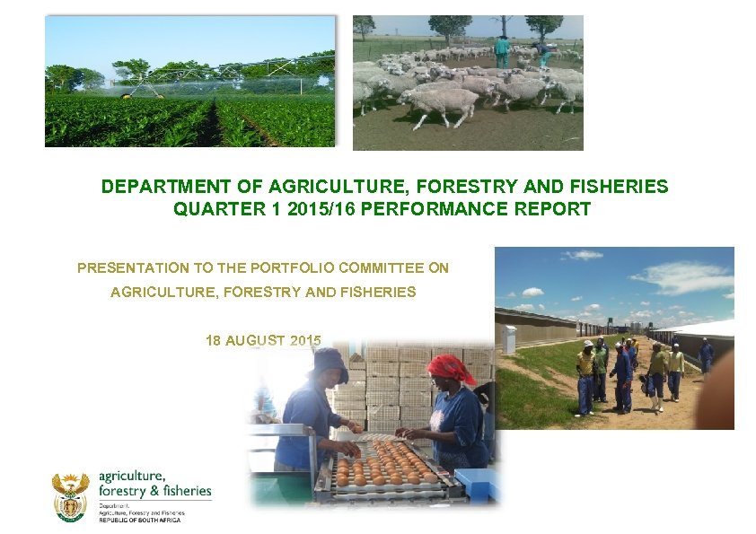 DEPARTMENT OF AGRICULTURE, FORESTRY AND FISHERIES QUARTER 1 2015/16 PERFORMANCE REPORT PRESENTATION TO THE