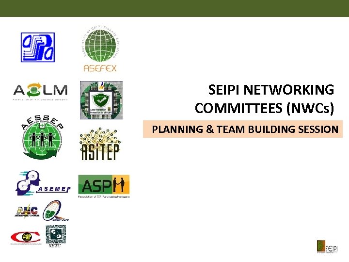 SEIPI NETWORKING COMMITTEES (NWCs) PLANNING & TEAM BUILDING SESSION 