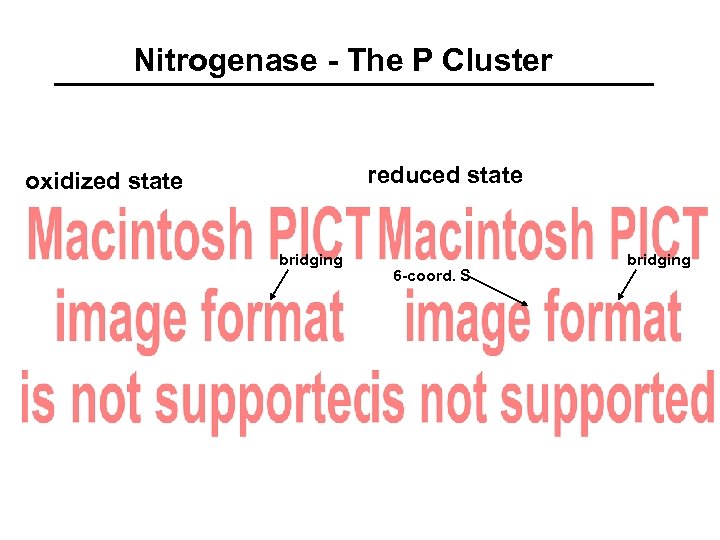Nitrogenase - The P Cluster reduced state oxidized state bridging 6 -coord. S bridging
