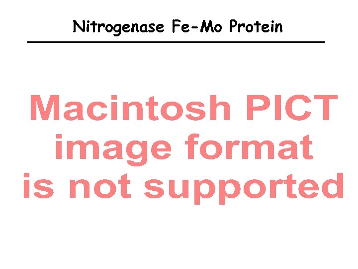 Nitrogenase Fe-Mo Protein 
