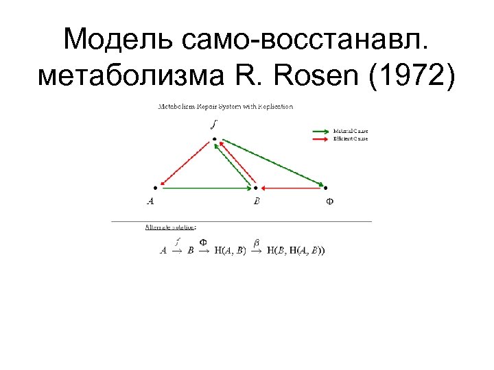 Модель само-восстанавл. метаболизма R. Rosen (1972) 