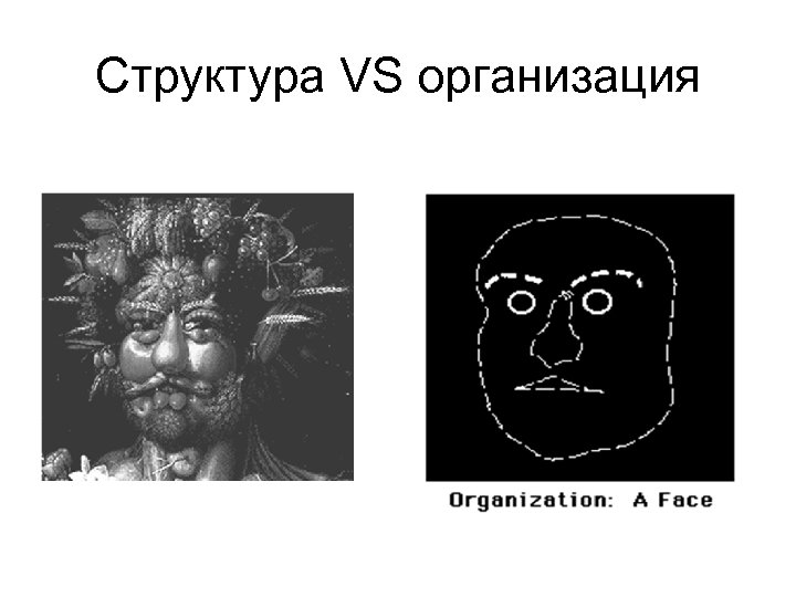 Структура VS организация 