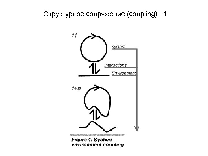 Структурное сопряжение (coupling) 1 