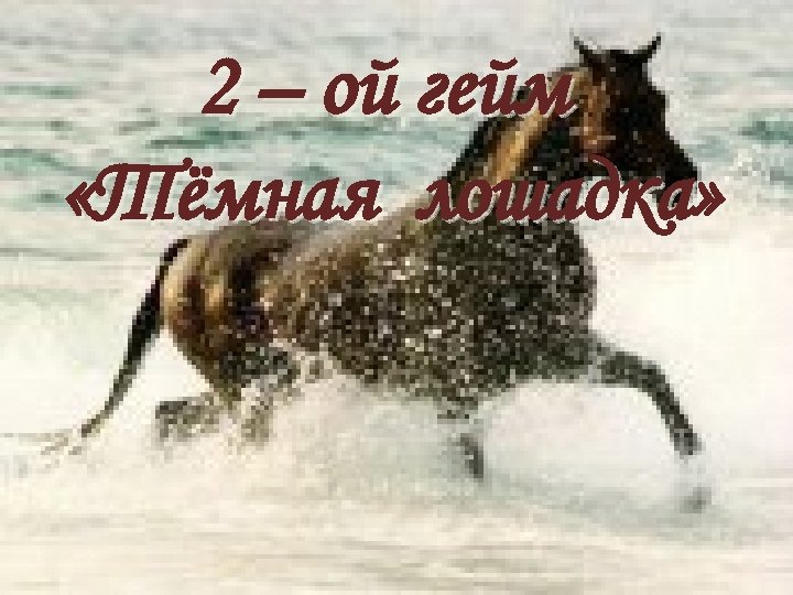 2 – ой гейм «Тёмная лошадка» 