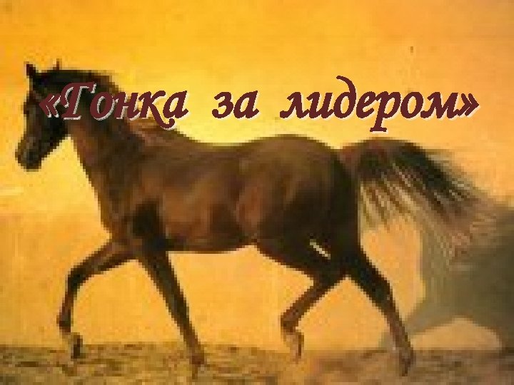  «Гонка за лидером» 