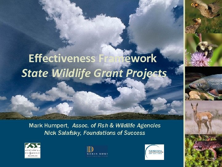 Effectiveness Framework State Wildlife Grant Projects Mark Humpert, Assoc. of Fish & Wildlife Agencies