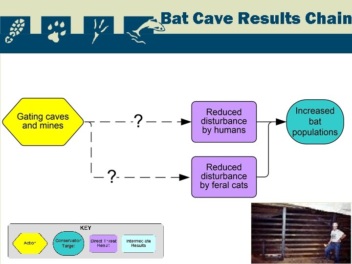 Bat Cave Results Chain 