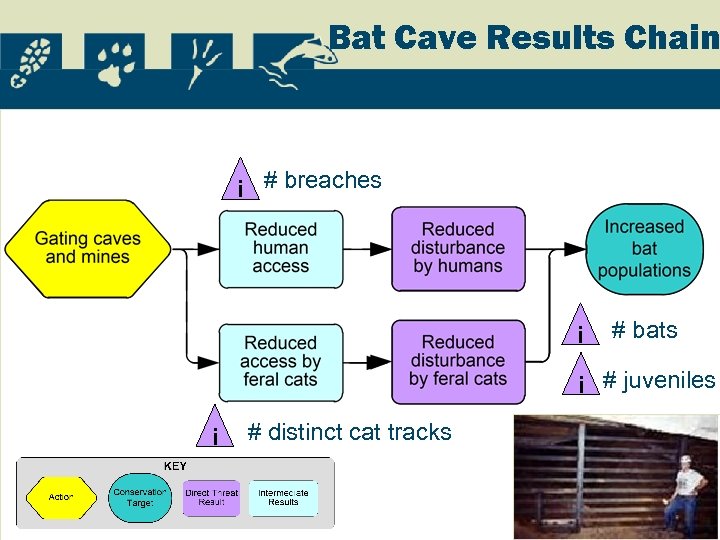 Bat Cave Results Chain i # breaches i # bats i # juveniles i