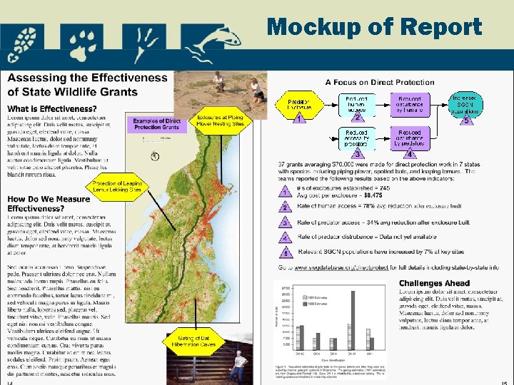 Mockup of Report 