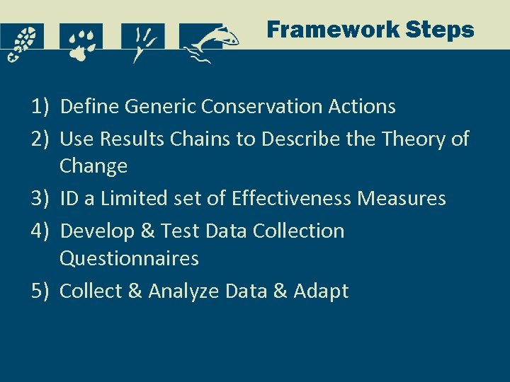 Framework Steps 1) Define Generic Conservation Actions 2) Use Results Chains to Describe the