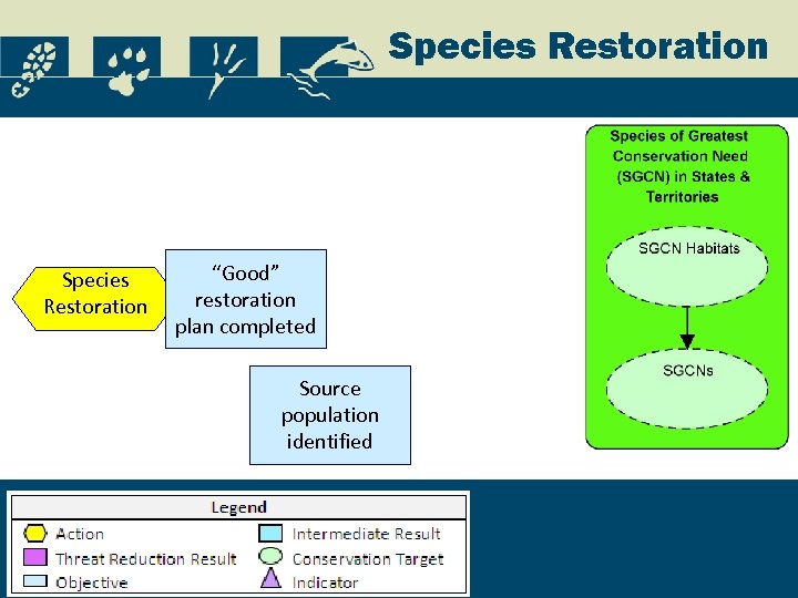 Species Restoration “Good” restoration plan completed Source population identified 