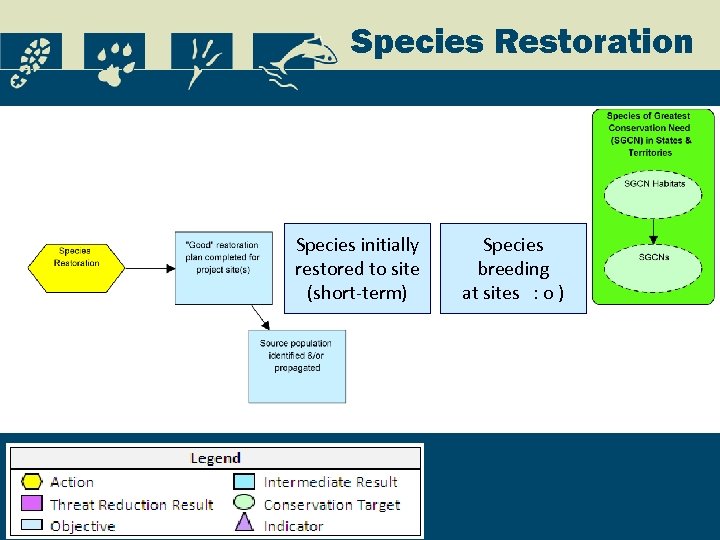 Species Restoration Species initially restored to site (short-term) Species breeding at sites : o