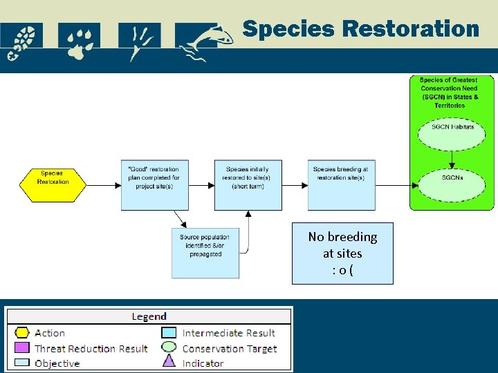 Species Restoration No breeding at sites : o( 