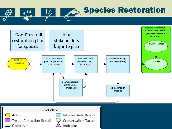 Species Restoration “Good” overall restoration plan for species Key stakeholders buy into plan 