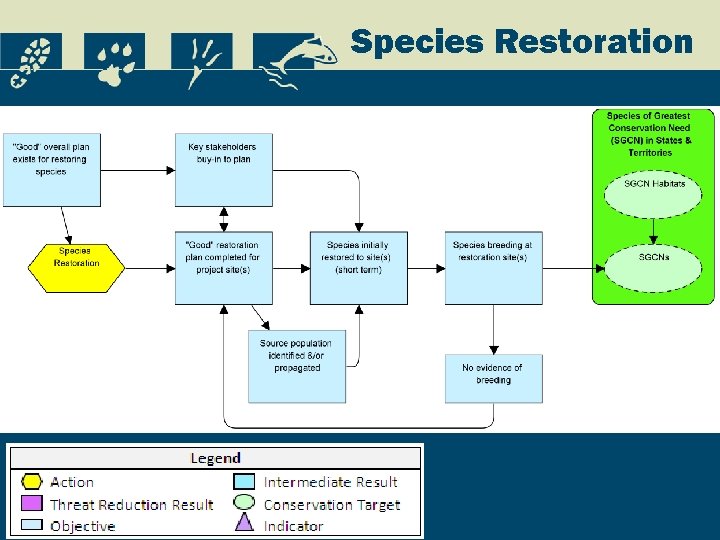 Species Restoration 