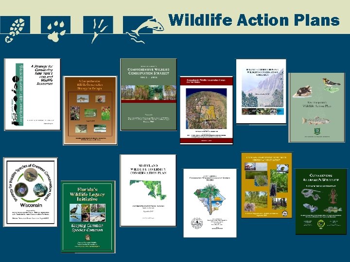 Wildlife Action Plans 