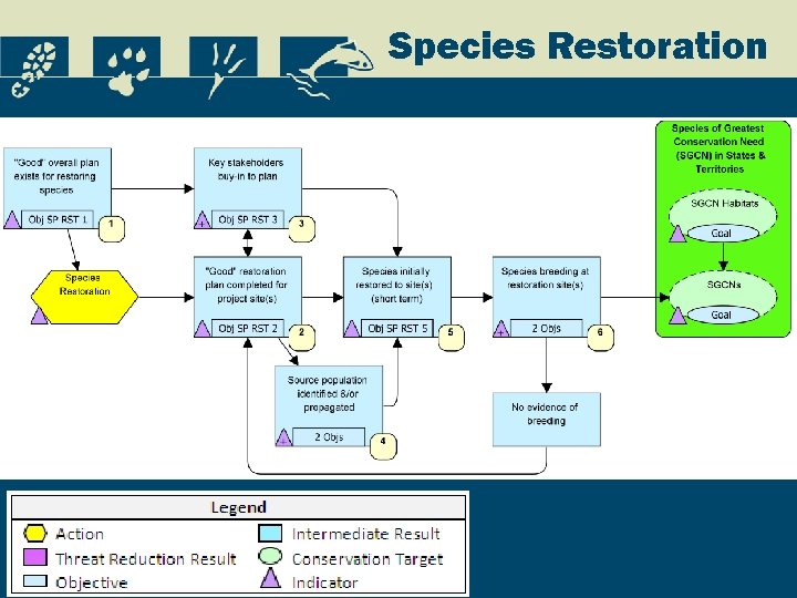 Species Restoration 