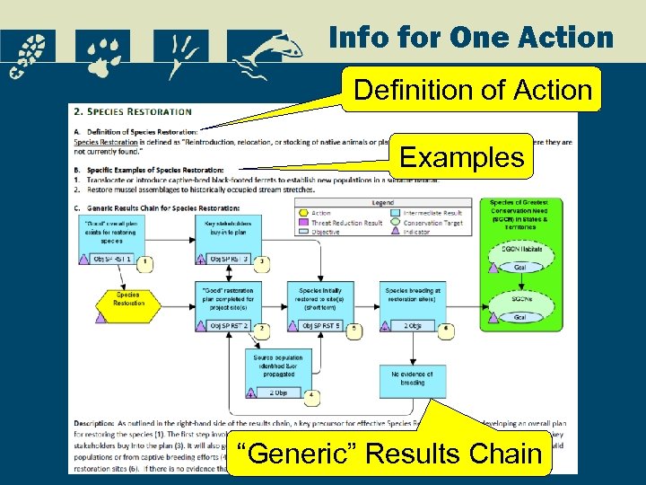 Info for One Action Definition of Action Examples “Generic” Results Chain 