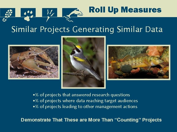 Roll Up Measures Similar Projects Generating Similar Data • % of projects that answered