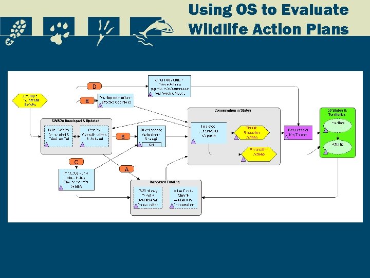 Using OS to Evaluate Wildlife Action Plans 