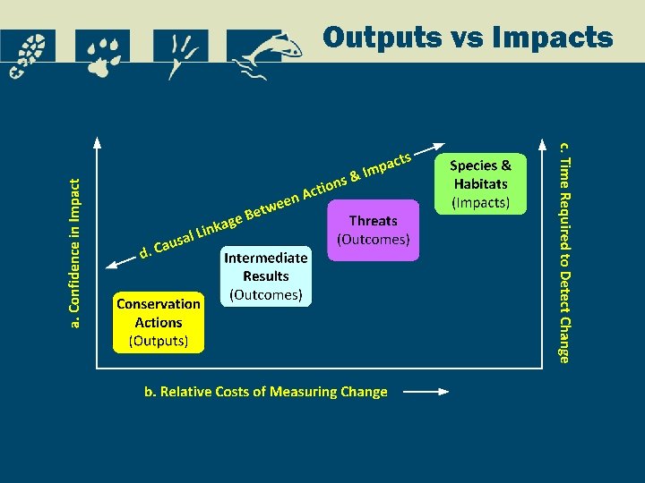 Outputs vs Impacts 