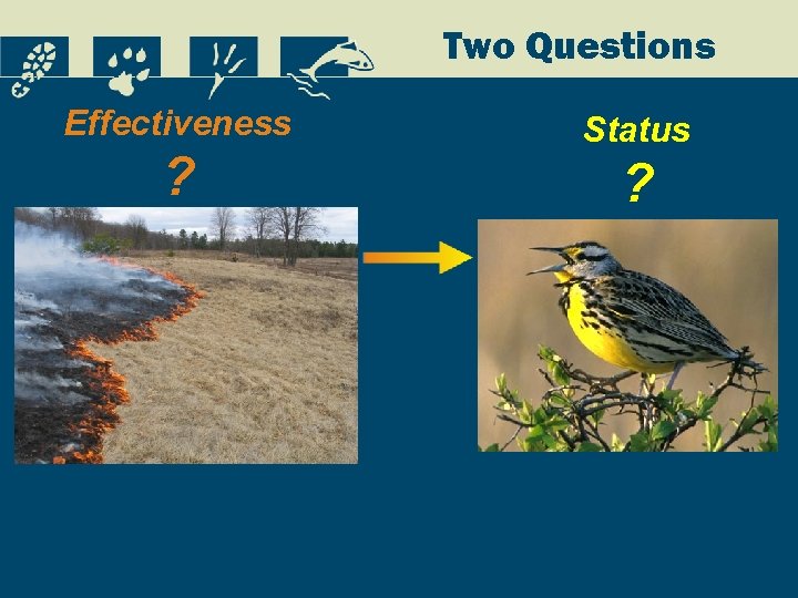 Two Questions Effectiveness ? Status ? 